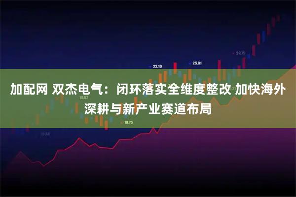 加配网 双杰电气：闭环落实全维度整改 加快海外深耕与新产业赛道布局