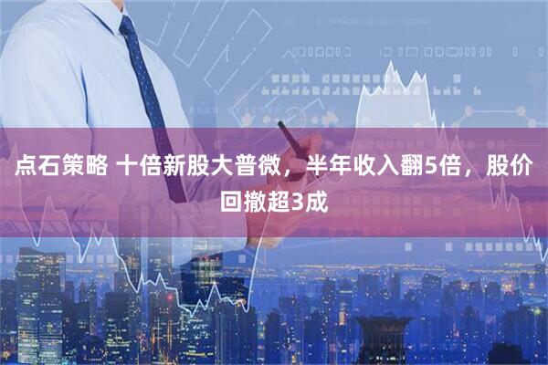 点石策略 十倍新股大普微，半年收入翻5倍，股价回撤超3成