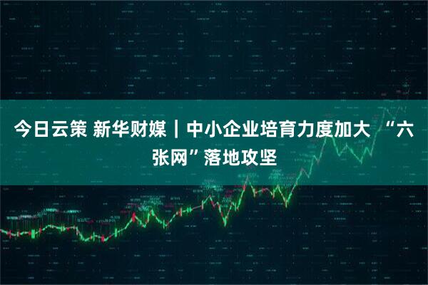 今日云策 新华财媒｜中小企业培育力度加大  “六张网”落地攻坚